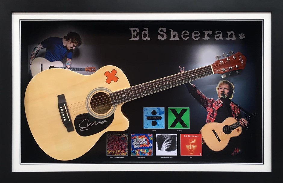 Chain Of Ponds Dragonfly Shiraz 2021 (12x 750mL) Adelaide Hills