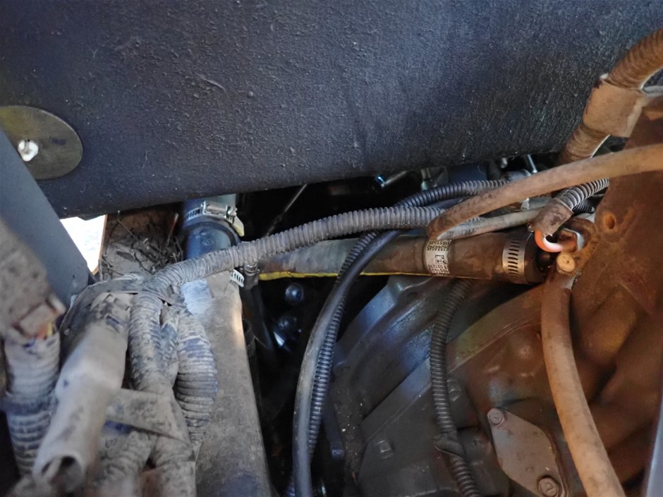 Gold Chunky Choker Necklace