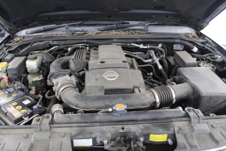 58mm Chinese Certified Natural Jade Bangle