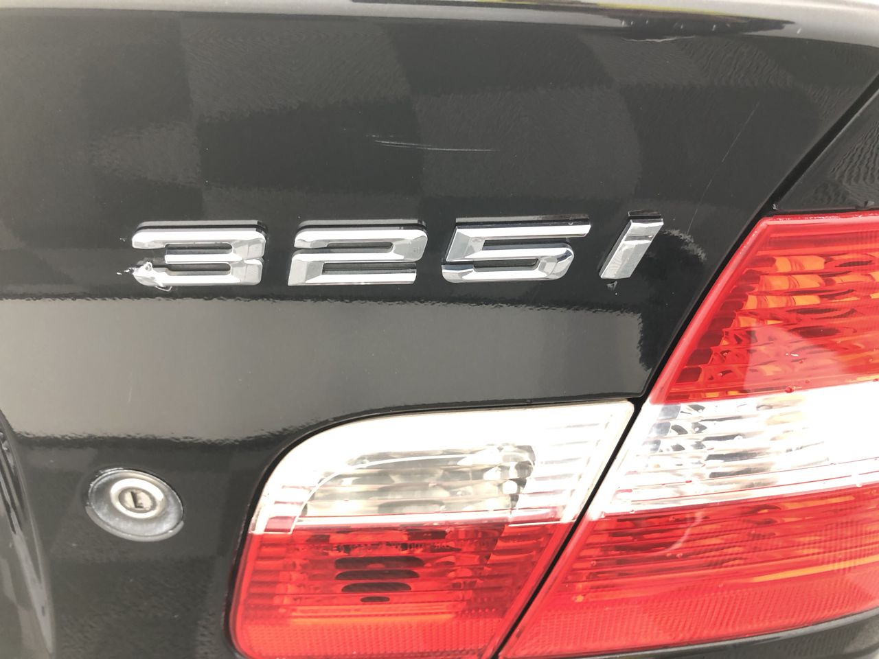 Fossil Tree Merlot 2022 (12x 750mL) SA