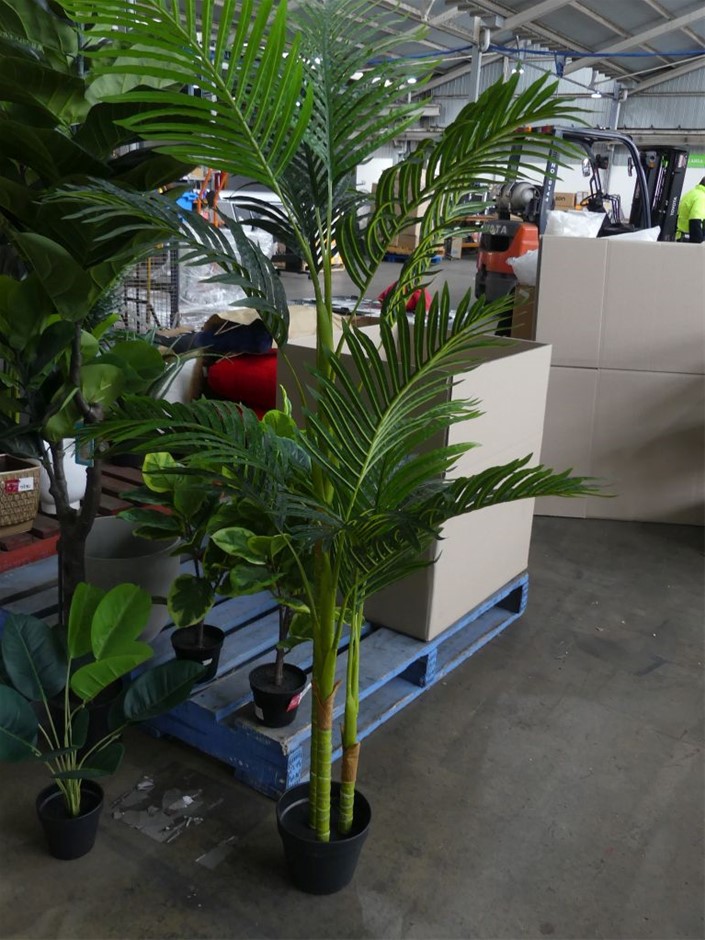 Australia 2024 Six Coin UNC Year Set - King Charles III Effigy