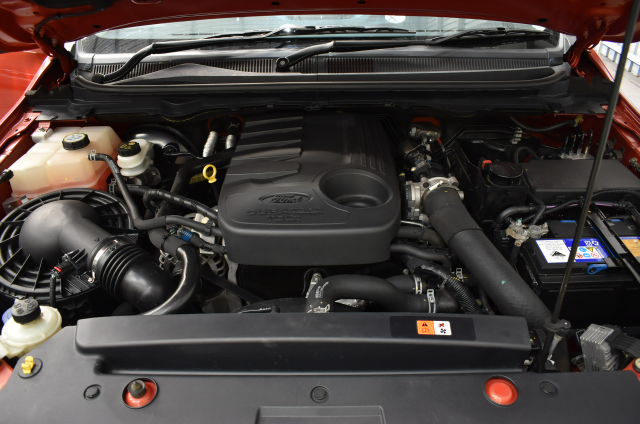 Australia Bluey $1 Dollar Bucks 2024 10 Coin Complete Set (Uncirculated)