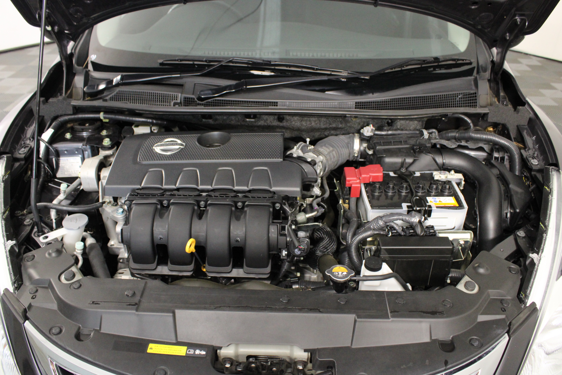 $1 2023 Mob Of Roos - King Charles III