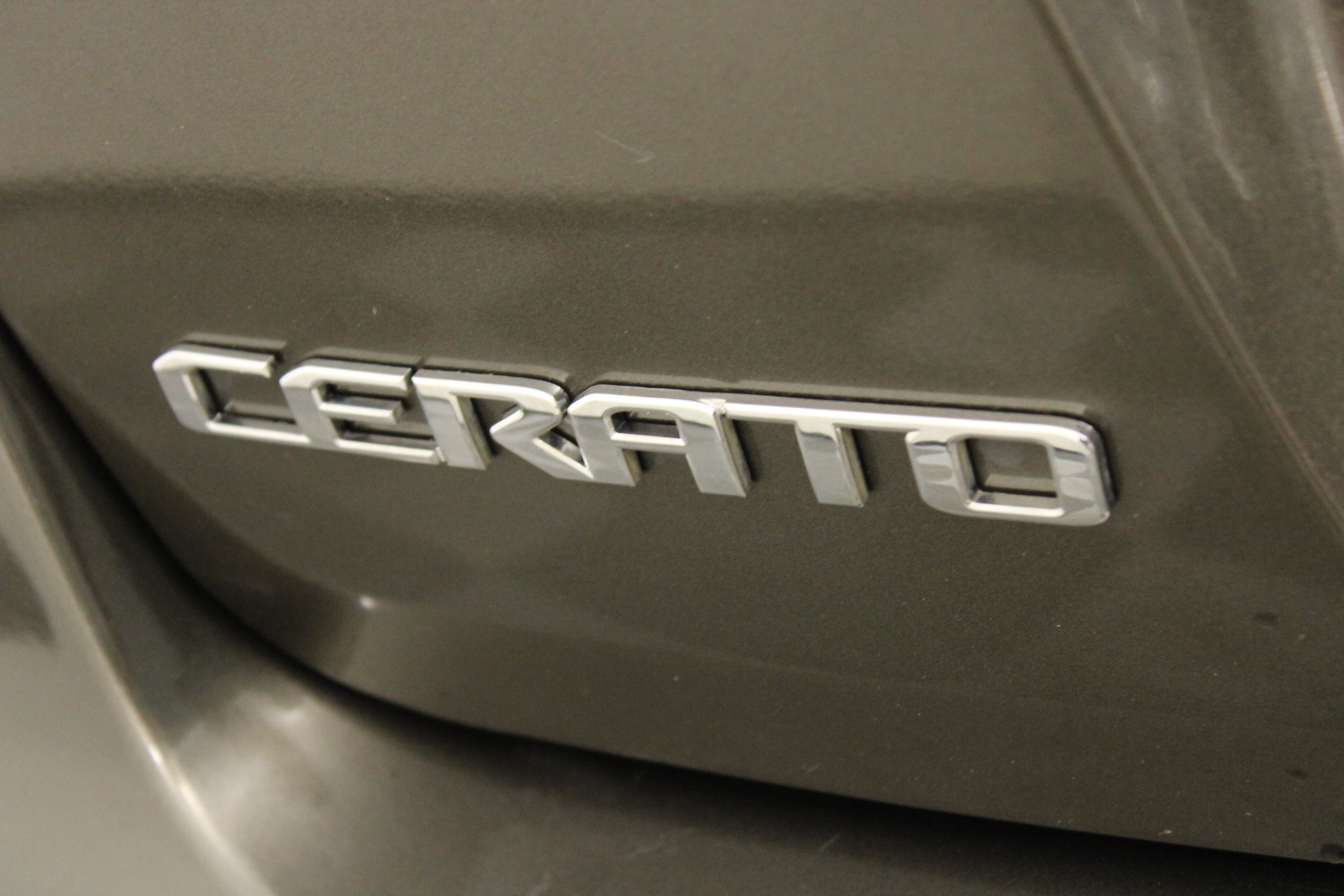 Graduation "Tree Of Life" Crystal Drop Bangle