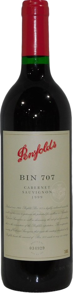 Designer Black and Silver Looped Chain Necklace