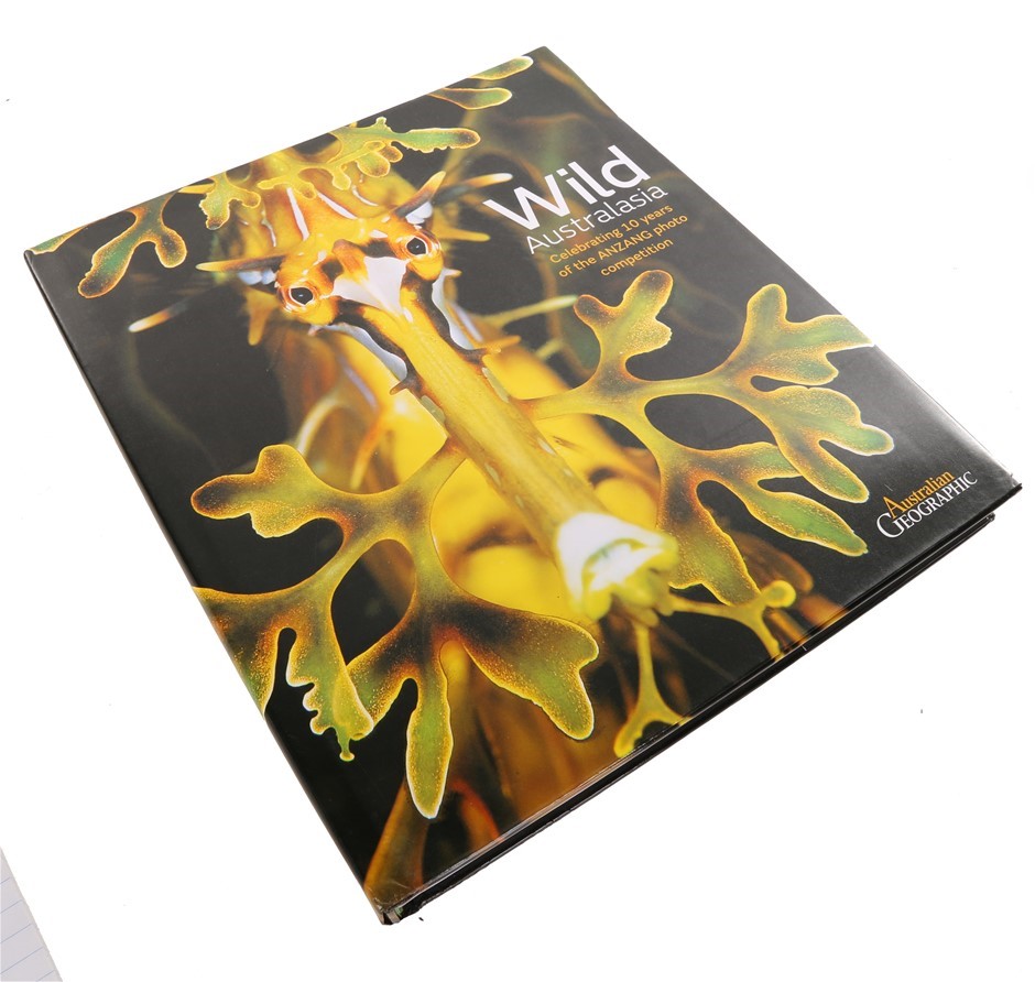 Thomson Estate Clare Valley Merlot 2023 (12x 750mL) SA