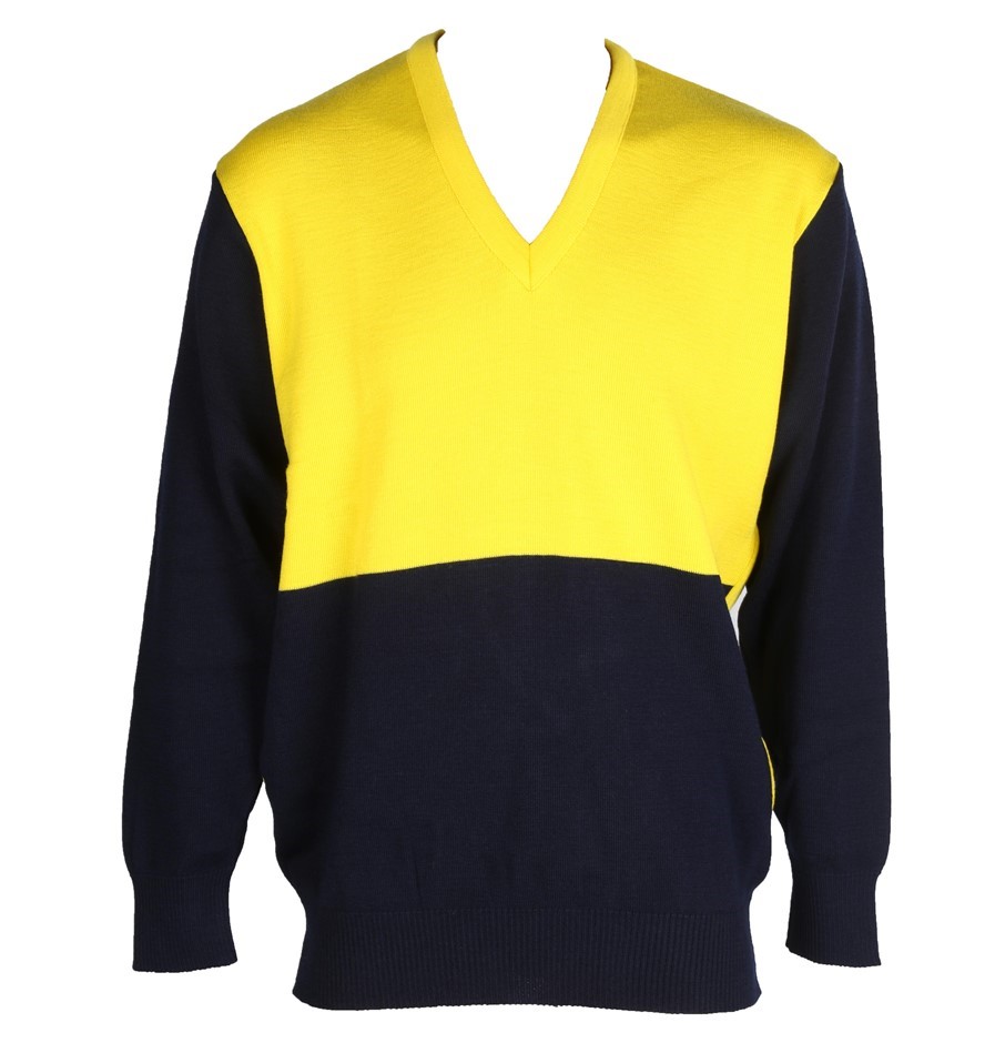 Classic Stainless Steel Feather Stud Earrings