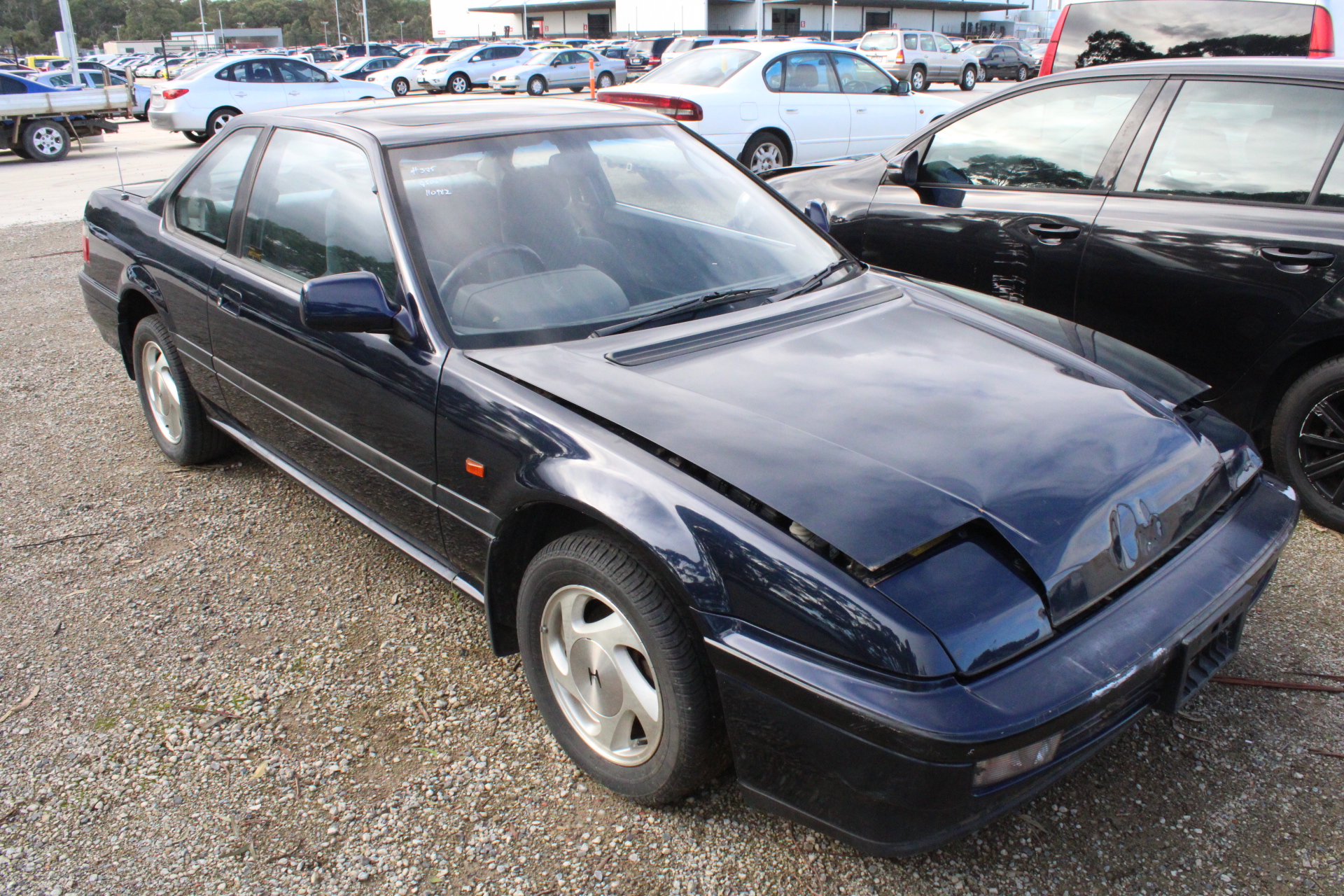 RIP CURL Women's Stephanie Gilmore Wettie Ringer Tee, White, Size XS. RRP: