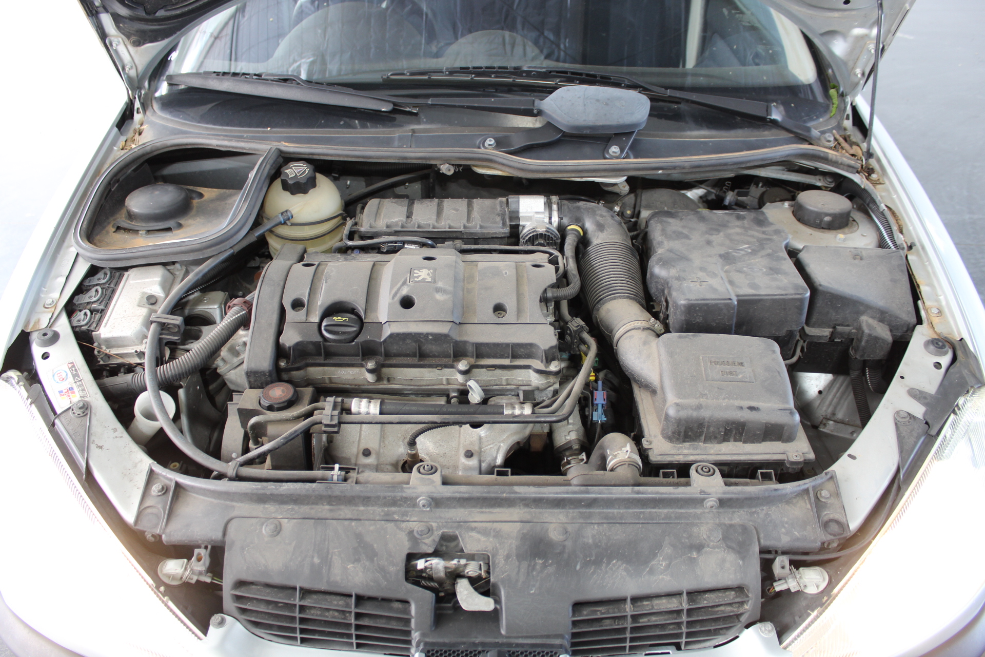 Pioneer Road Shiraz 2021 (6x 750mL) Langhorne Creek