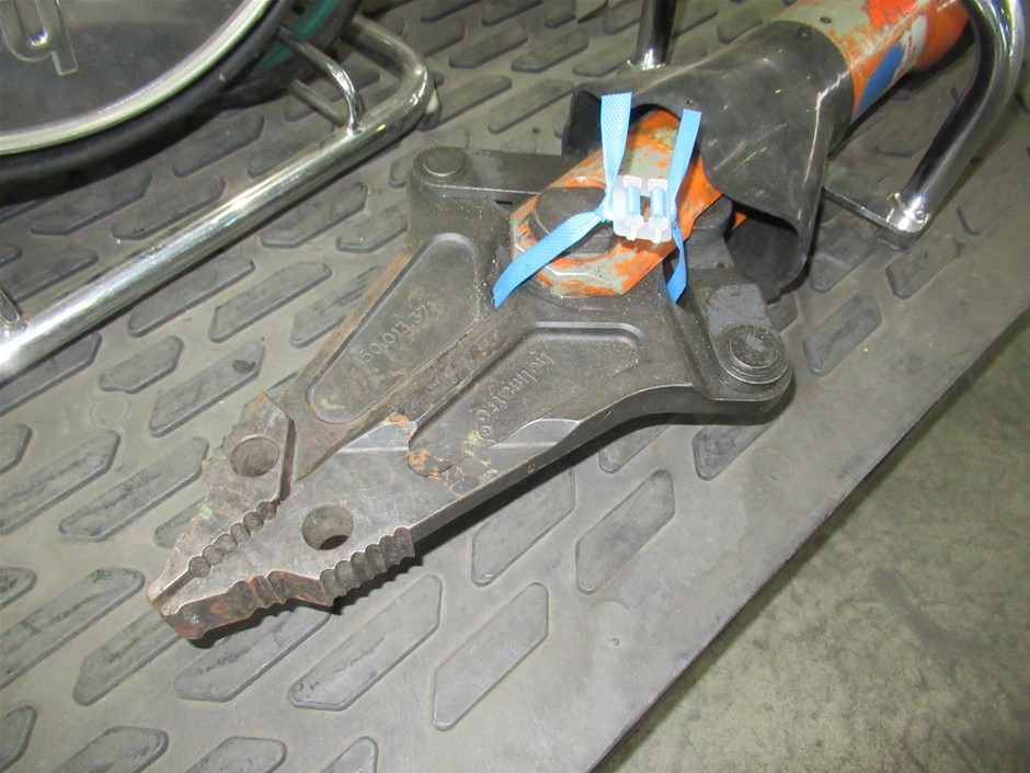 Barramundi Shiraz 2019 (12x 750mL) VIC