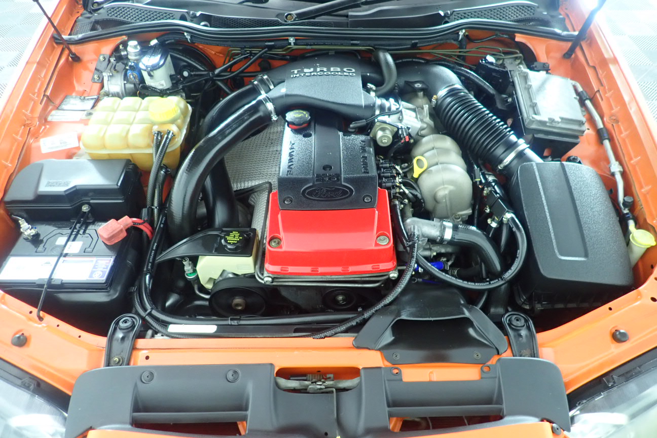 McGuigan Black Label Tempranillo 2024 (6x 750mL) SEA