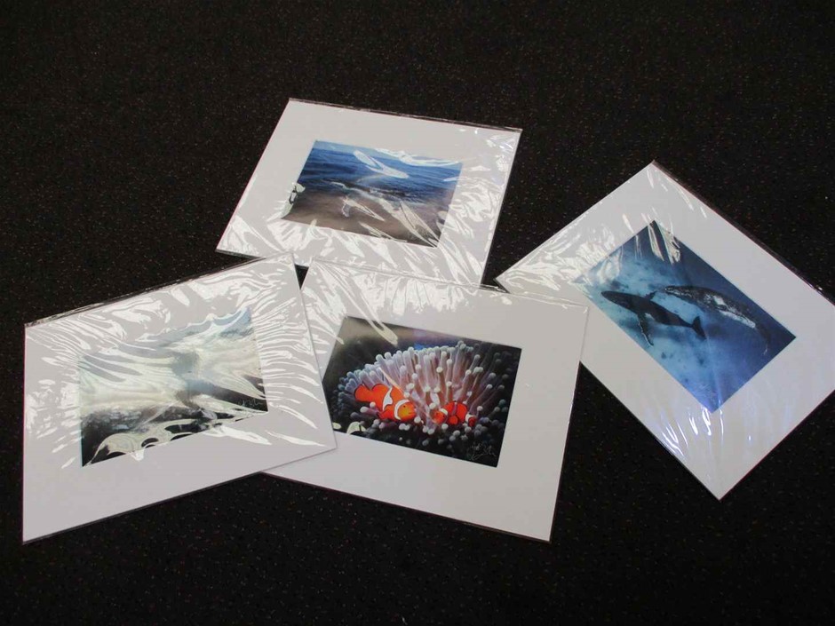 Mixed Aussie Reds Pack #6 (12x 750mL), Multi-Region.