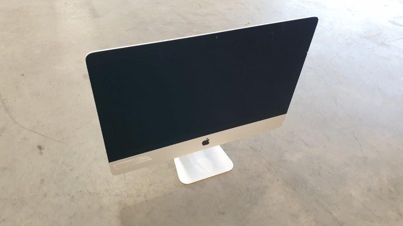 Pioneers First Patch Pinot Noir 2024 (12x 750mL) SA