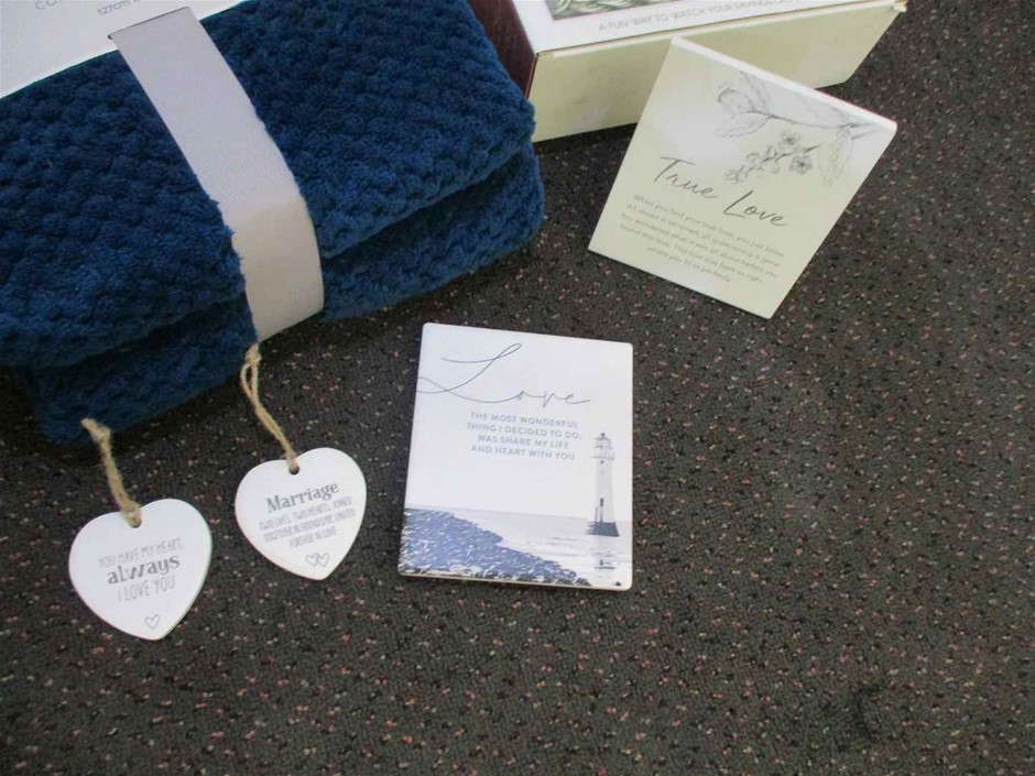 Designer Stainless Steel Feather Pendant Necklace