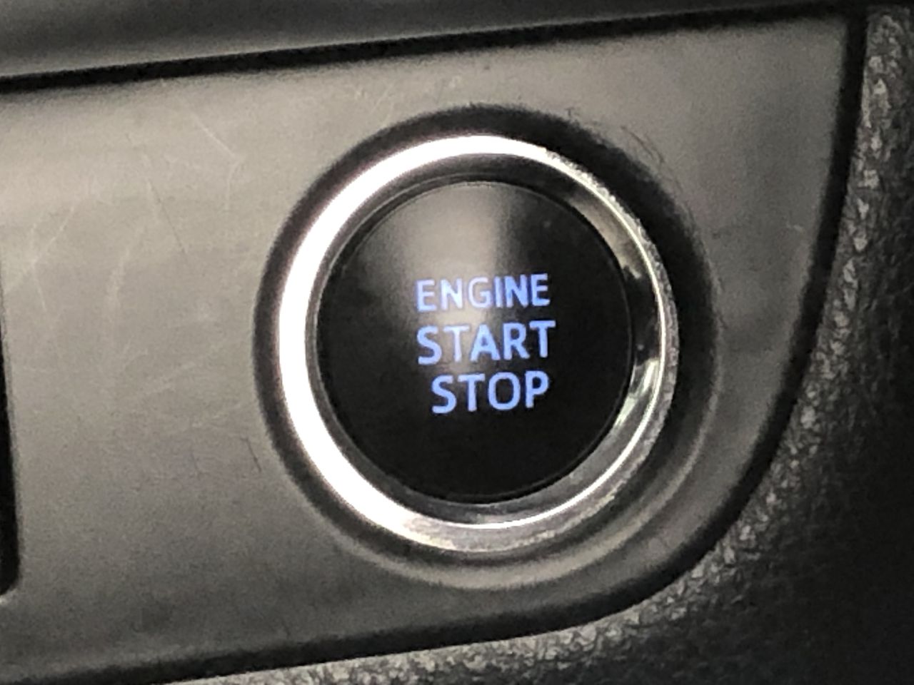 NEW!! LIMITED 2024 BLUEY DOLLARBUCK & BINGO $1 DOLLAR UNC Coin 2 CARD SET