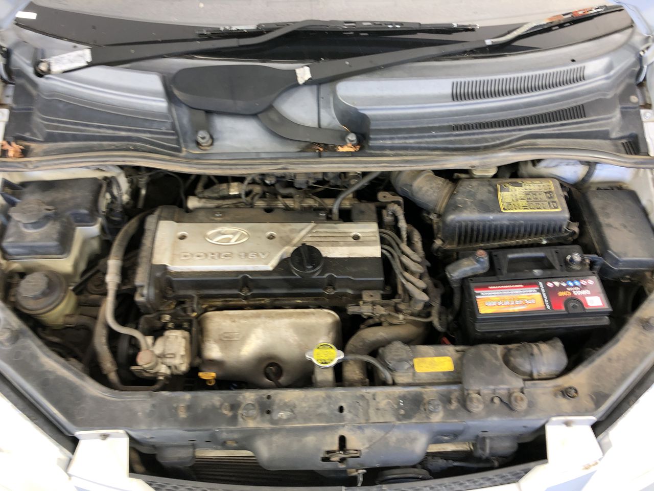 NEW!! LIMITED 2024 BLUEY DOLLARBUCK & BINGO $1 DOLLAR UNC Coin 2 CARD SET