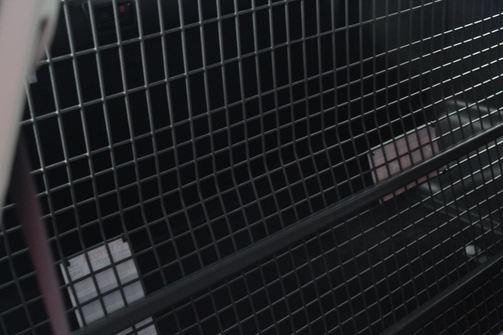 Bleasdale Sparkling Shiraz NV (6x 750mL), Langhorne Creek, SA.