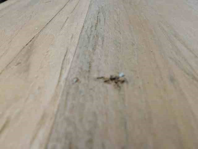 Basedow's B3 John Oscar Shiraz 2010 (6x 750mL) Barossa