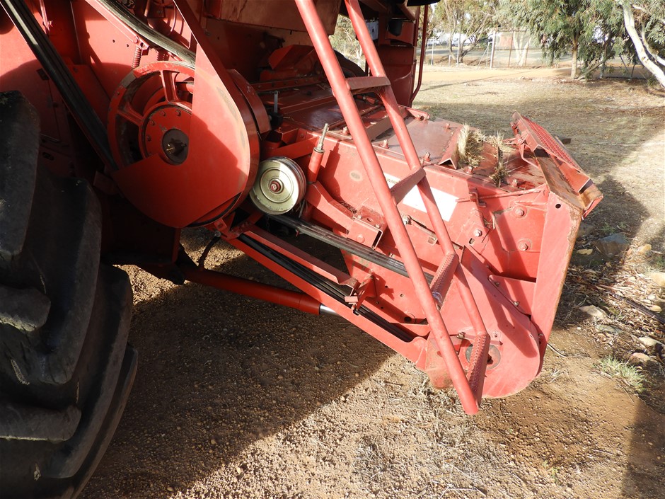 Elephant in the Room Buttery Chardonnay Bagnum 2024 (6x 1.5L) SA