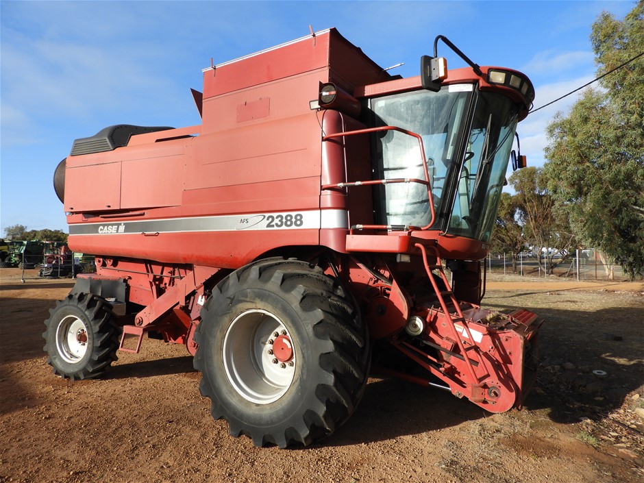 Elephant in the Room Pinot Gris 2025 (6x 750mL).