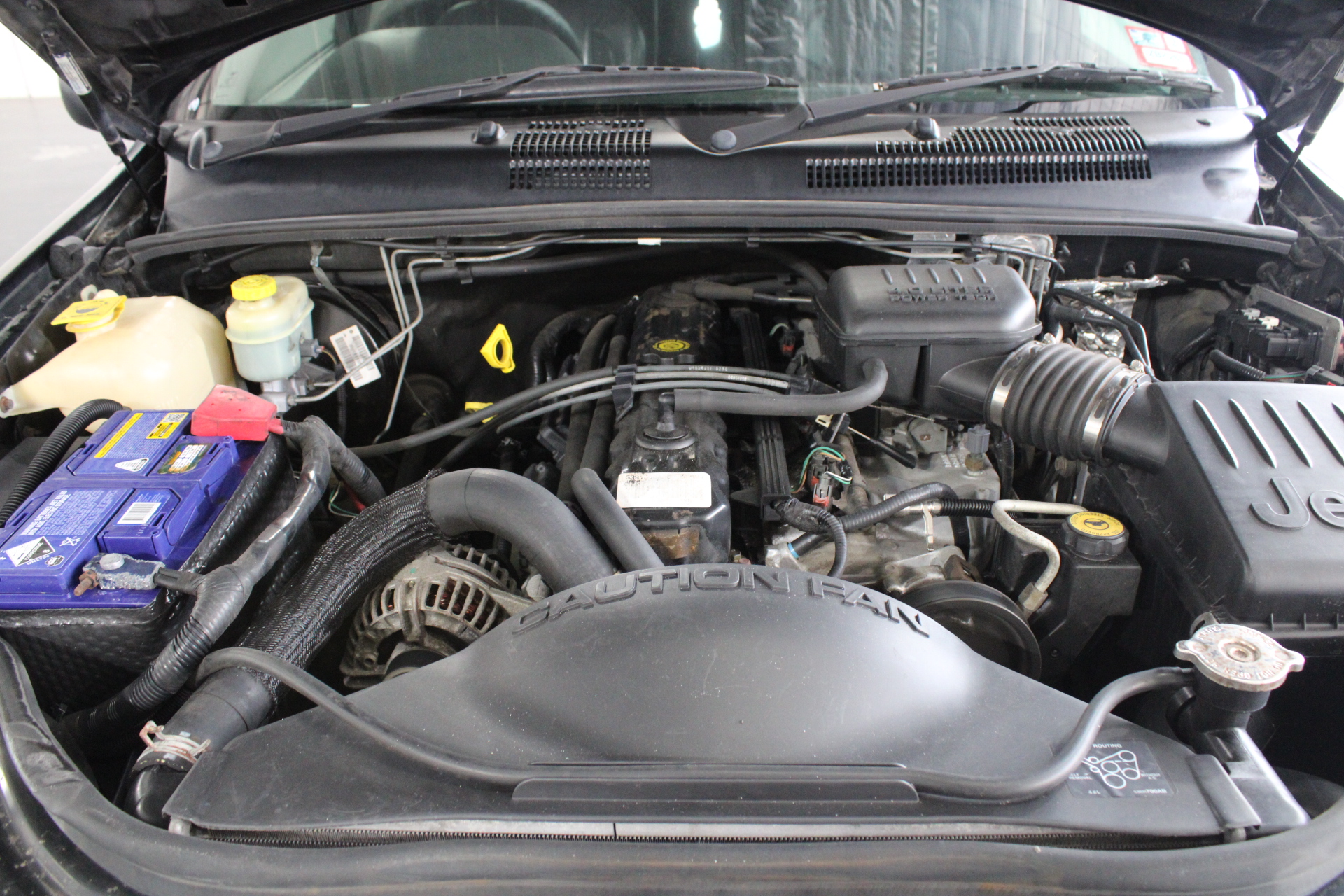 Wolf Blass Yellow Label Merlot (6x 750mL).