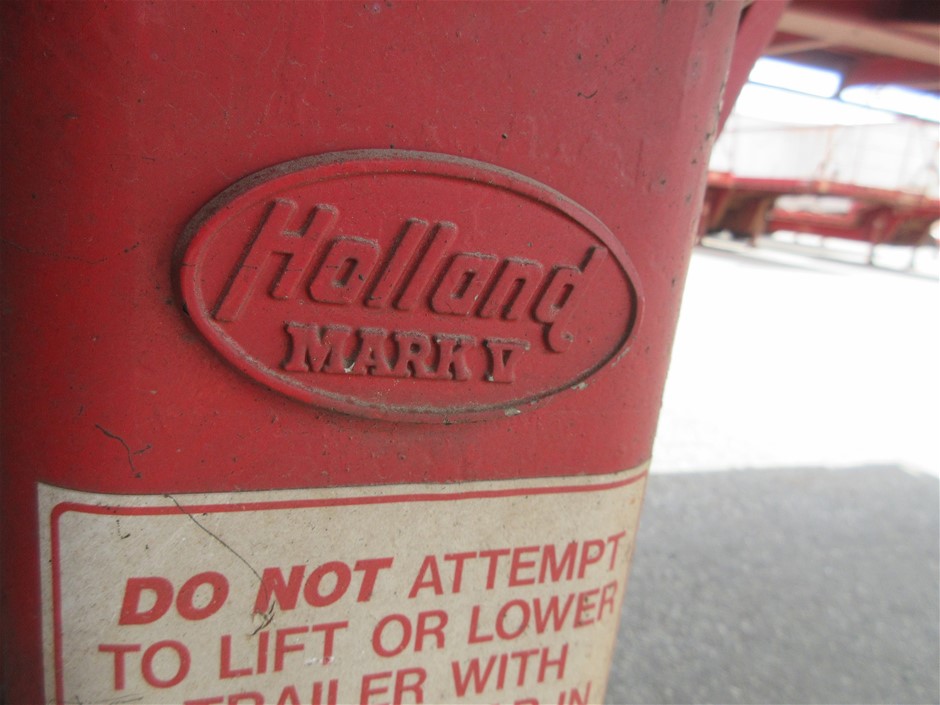 Spliced Short Made of Water Reactive Fabric Showing Dolphin Print When Wet