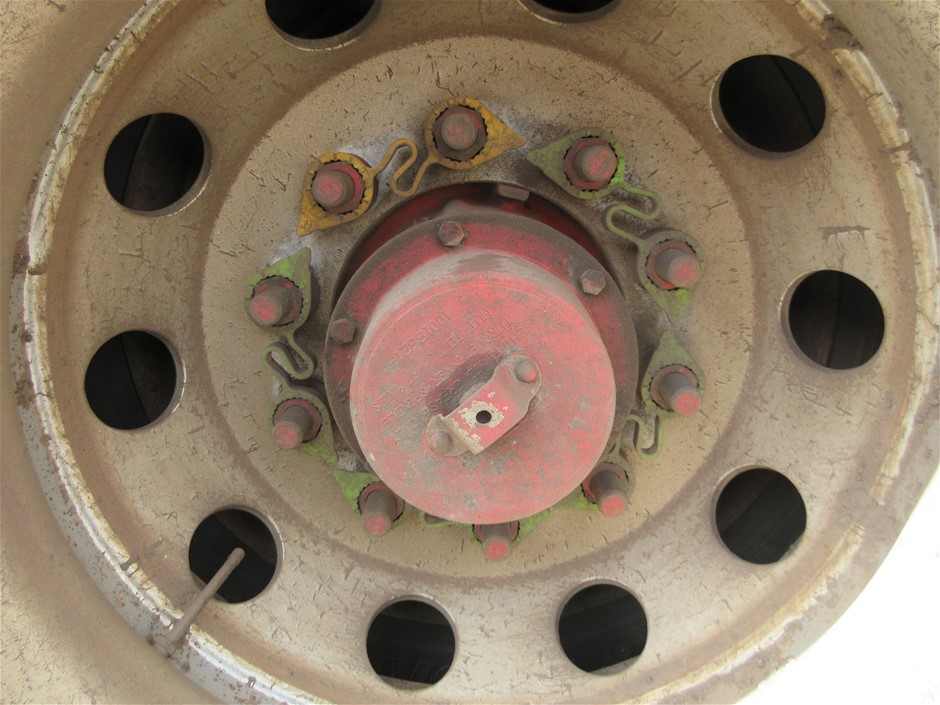 Spliced Short Made of Water Reactive Fabric Showing Dolphin Print When Wet