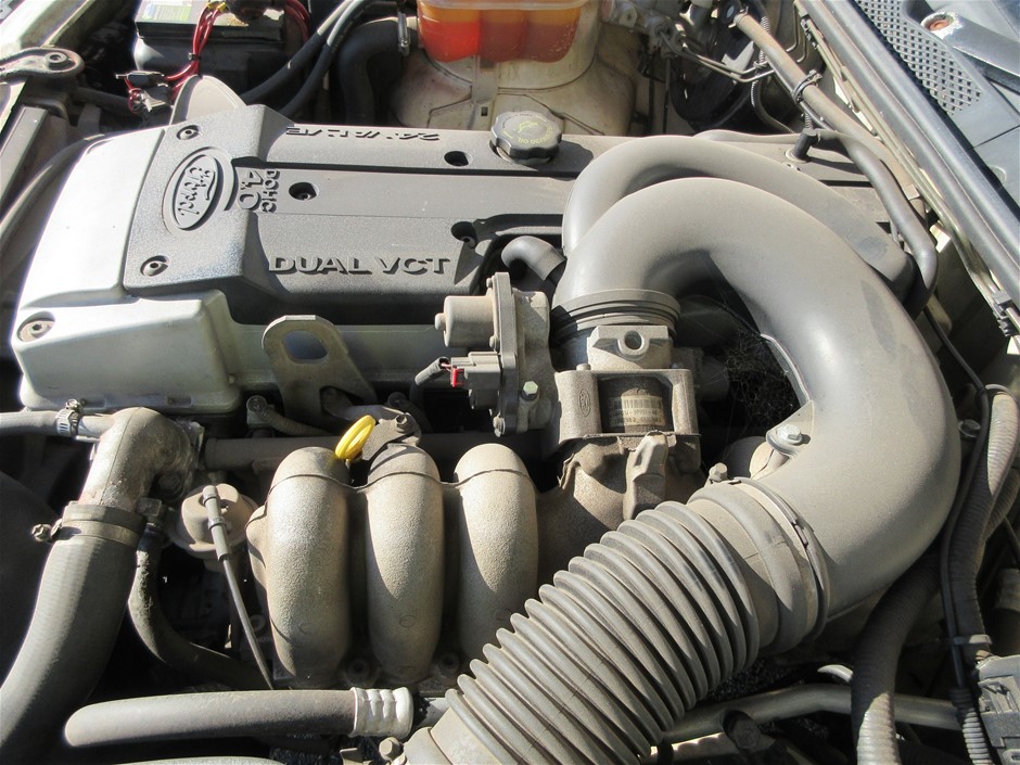 7-8mm Potato Shape Pearl with Real Platinum Plated Necklace