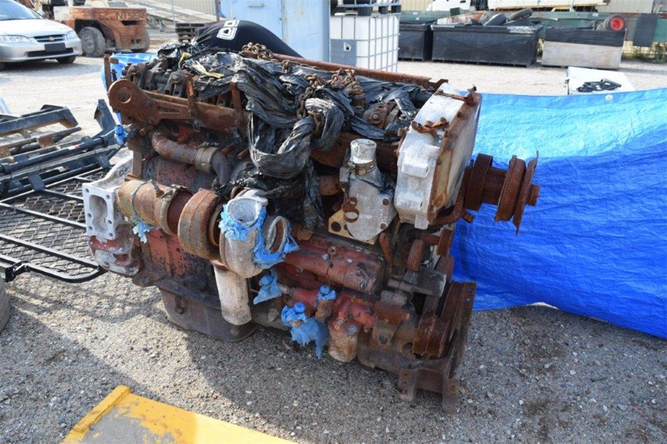 6-7mm White Pearl & Rhinestone Real Platinum Plated Bracelet