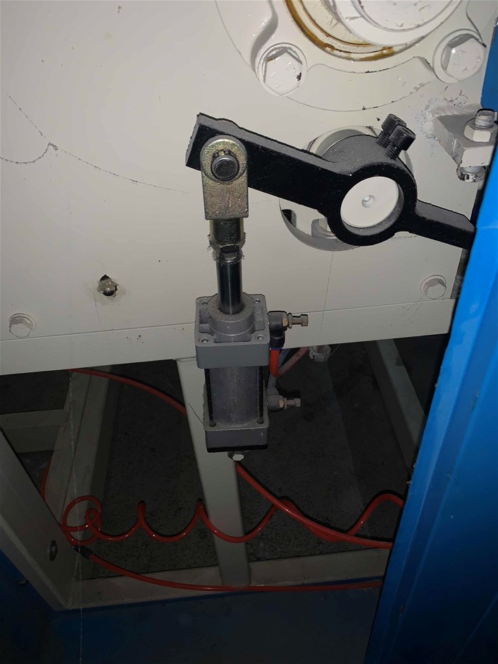 2022 Queen Elizabeth Platinum Jubilee Gold plated Medallion