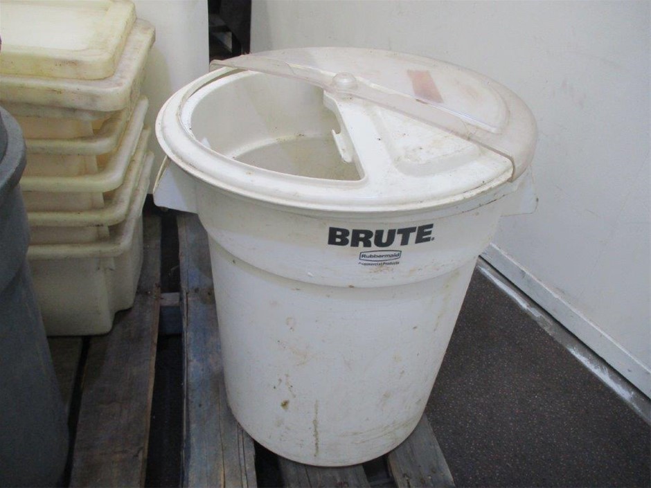 Original Aboriginal Painting Joy Purvis Petyarre - Bush Yam Seeds