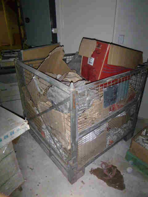 18ct Heavy Rose Gold Plated 7 Ring Lucky Charm Necklace