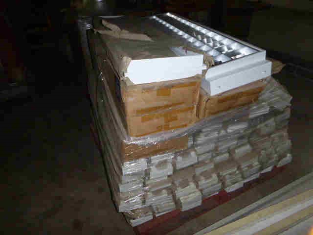 Classic Stainless Steel Feather Stud Earrings