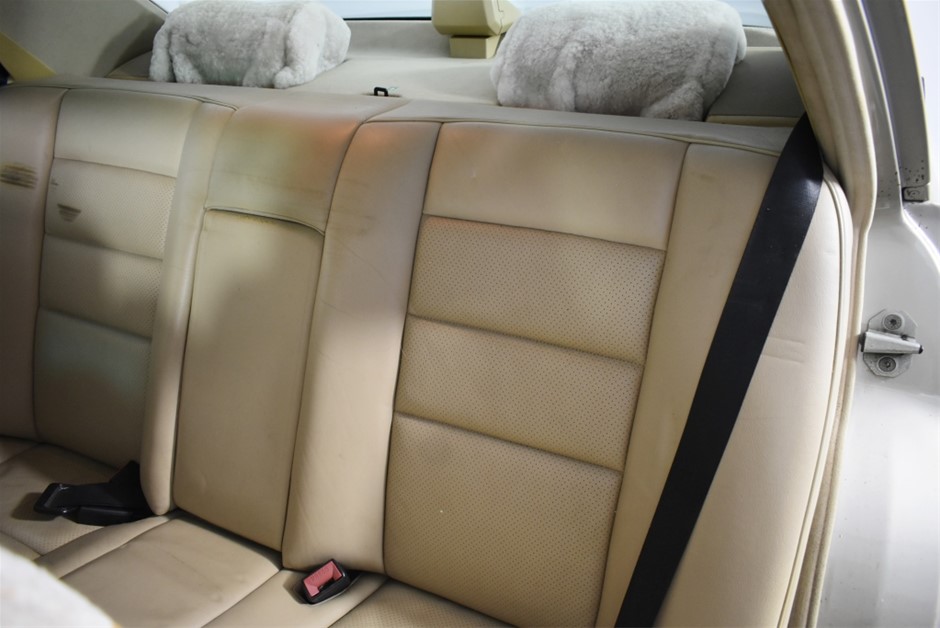 Microscope Fluorescence high-end stereo Trinocular