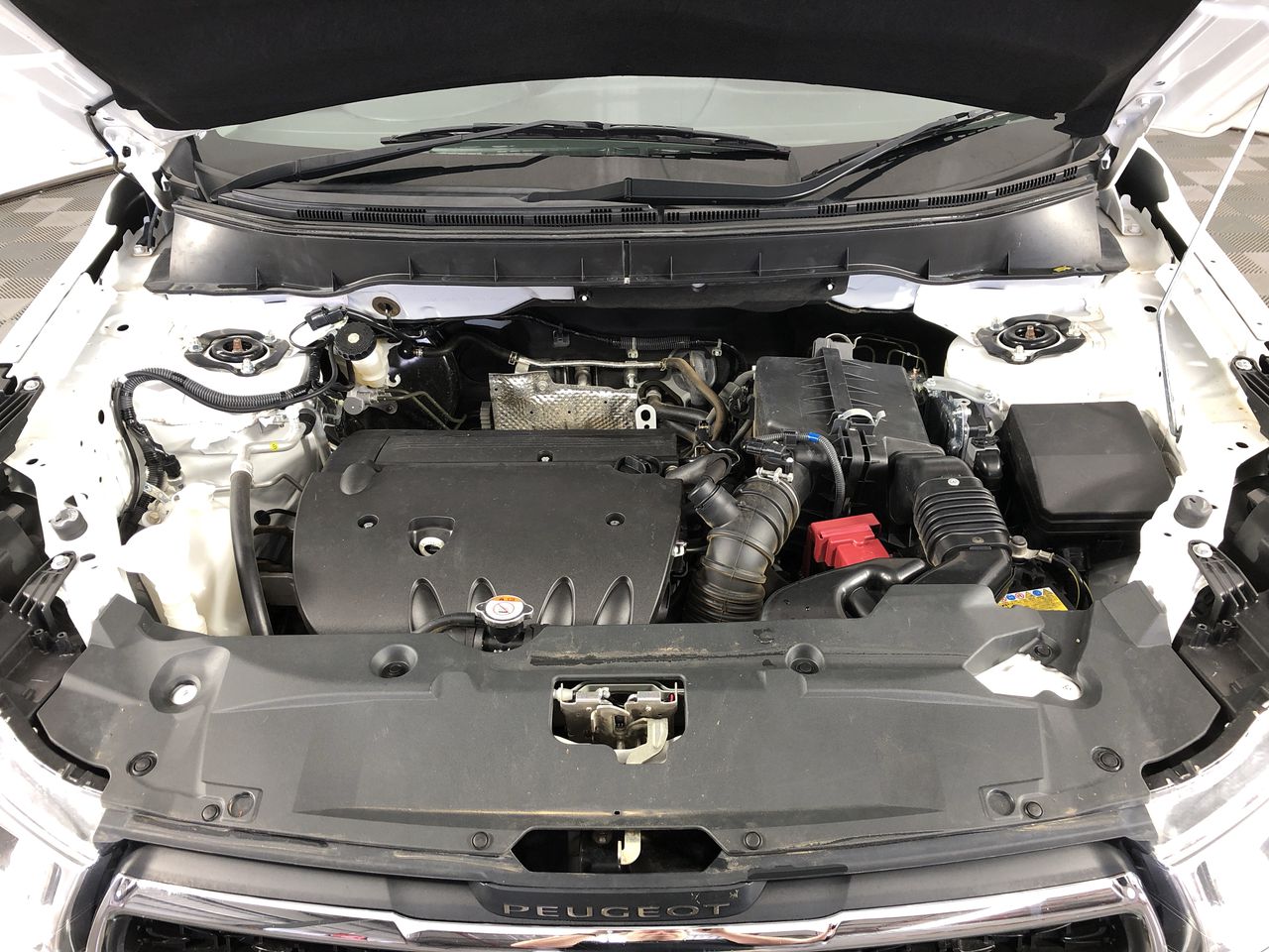 Elephant in the Room Merlot (6x 750mL). Limestone Coast