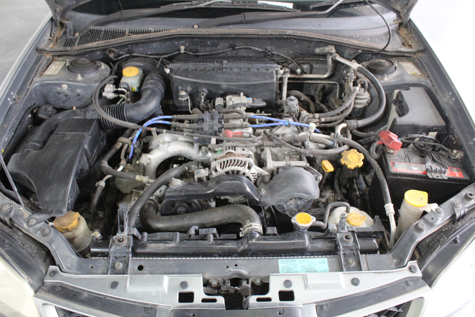 1200mm Tilt Bucket To Suit 5T Excavator (Unused),