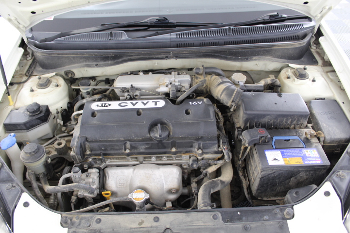 Pearl & Swarovski® Crystal Real Platinum Plated Bracelet