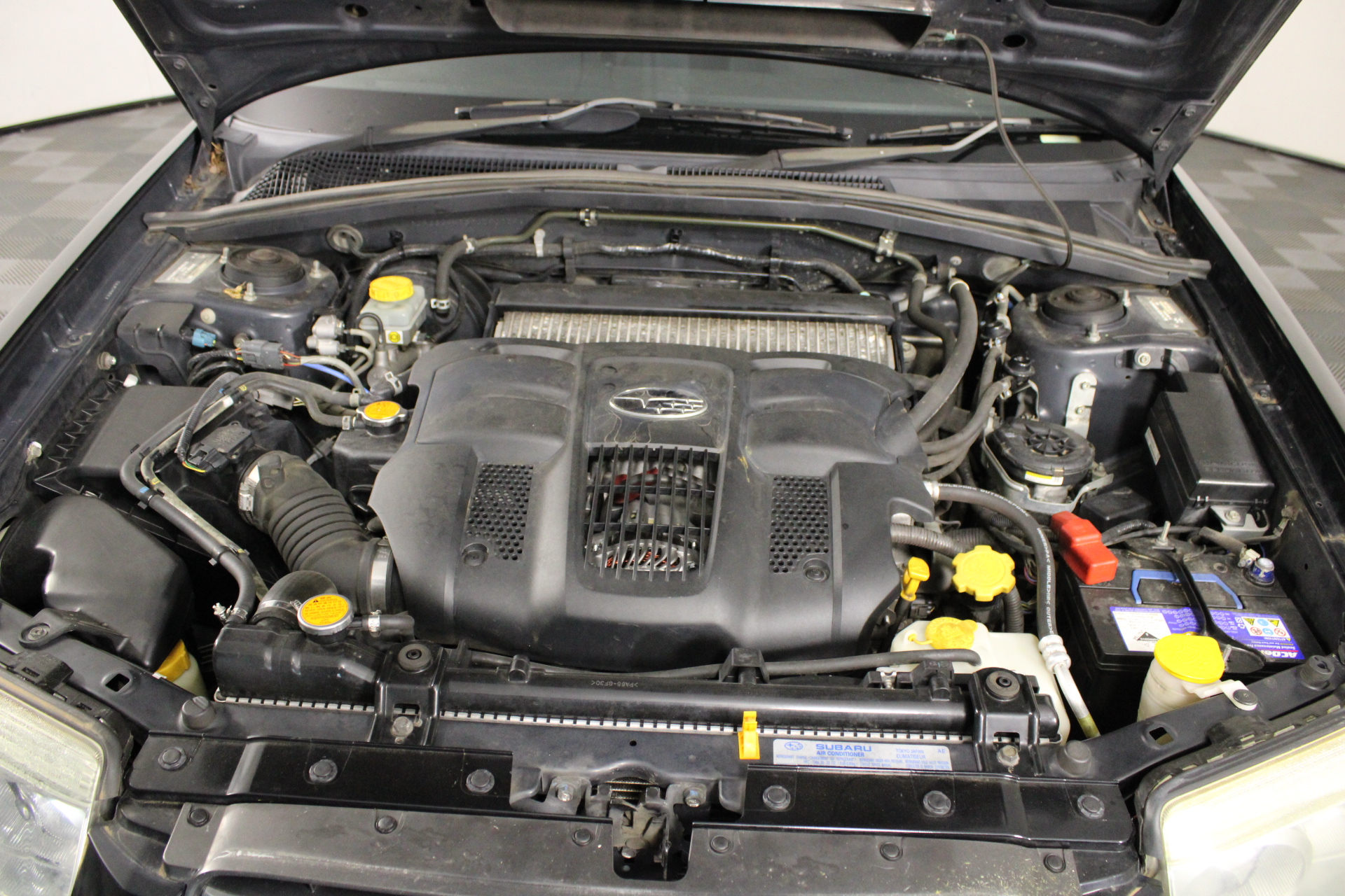 Cantina Danese Pinot Grigio Doc 2023 (12x 750mL) Italy