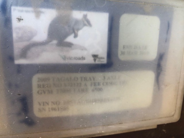 Waterproof  Watch Barrel Shaped Transparent Red Color Quartz Watch Popular