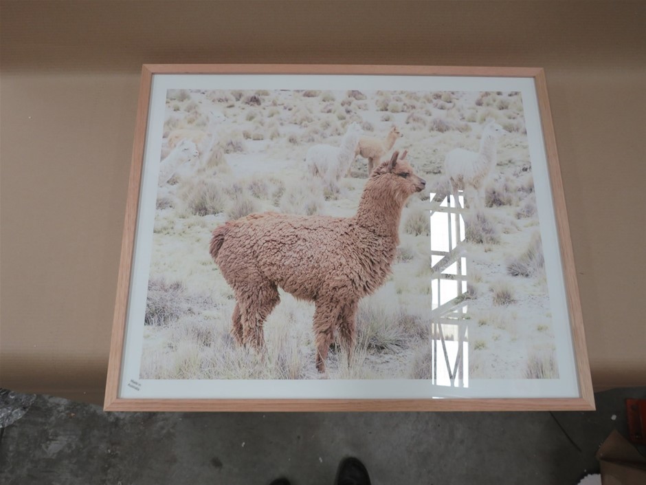 Deep Tissue Percussion Massage Gun