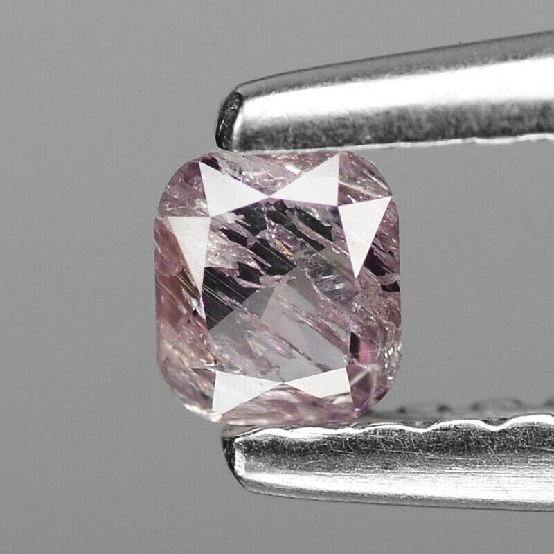 BOUNTY HUNTER Puch and Trowel Combo Kit, 20.3 x 5.1 x 20.3cm, Black, TPKIT-