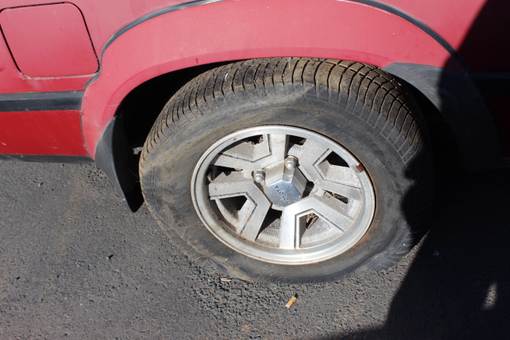 Elephant in the Room Buttery Chardonnay (6x 750mL).
