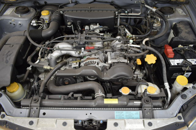 2005 Australia One Dollar Kangaroo Coin limited edition 6000 only rare