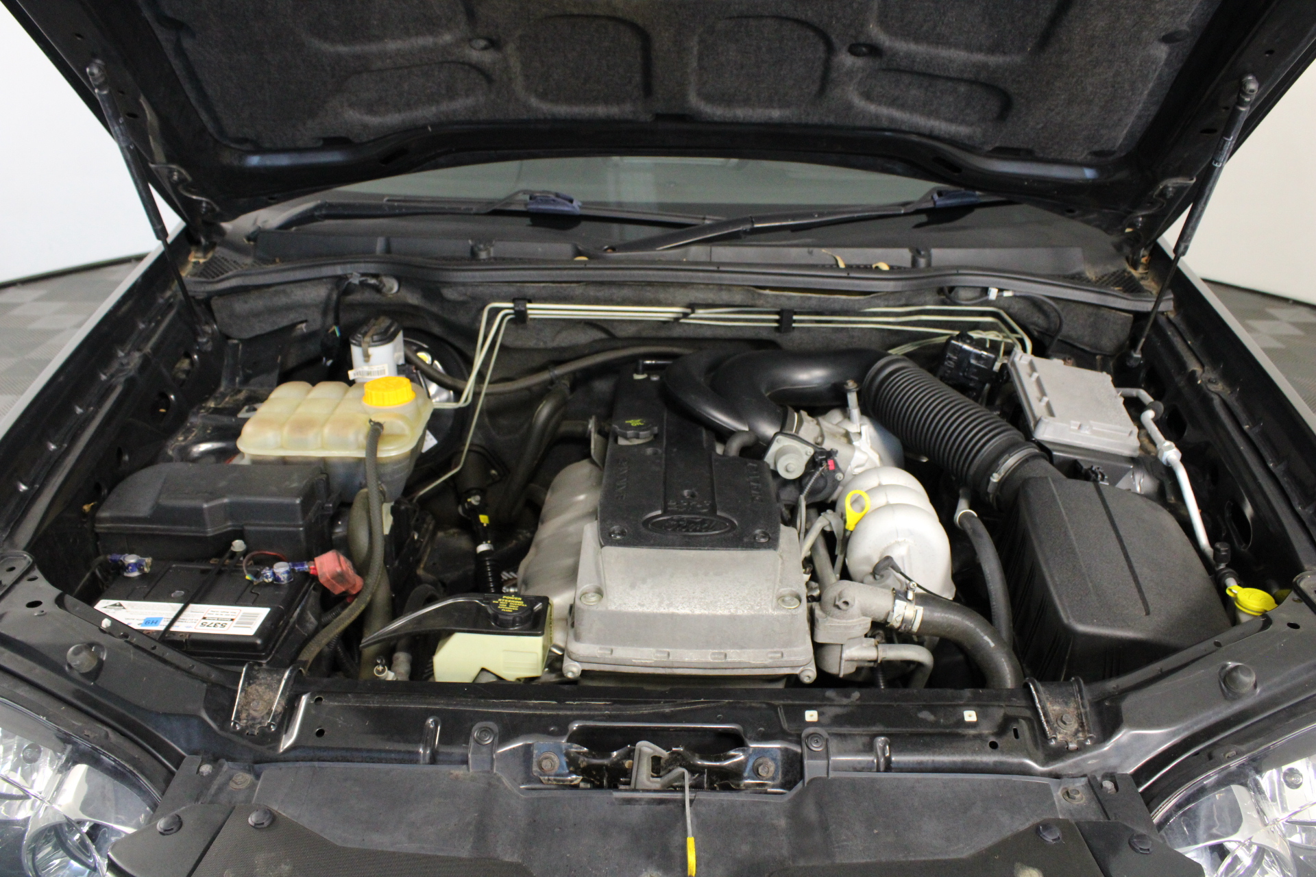 2022 Queen Elizabeth Platinum Jubilee Gold plated Medallion