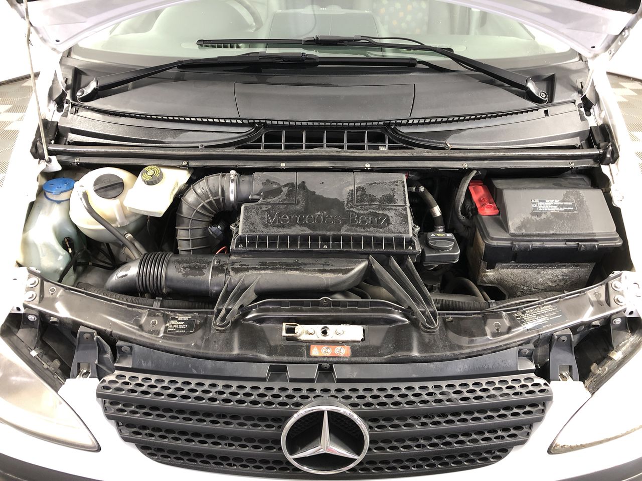 BUNDLE of 5: CHALKBOARD BRIGHTS Privacy Screen + DURABLE Sign Holder (11x17