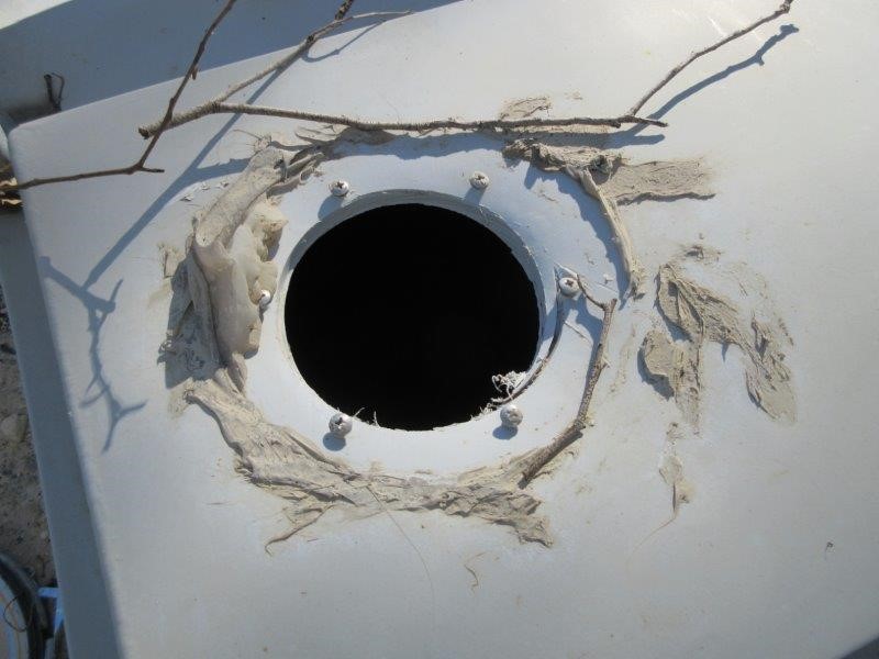 One Kilo of Australia KGV/King George VI/Queen Elizabeth Mix Date