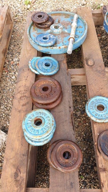 NC Red Carignan Dolcetto Aglianico 2021 (12x 750mL) Langhorne Creek