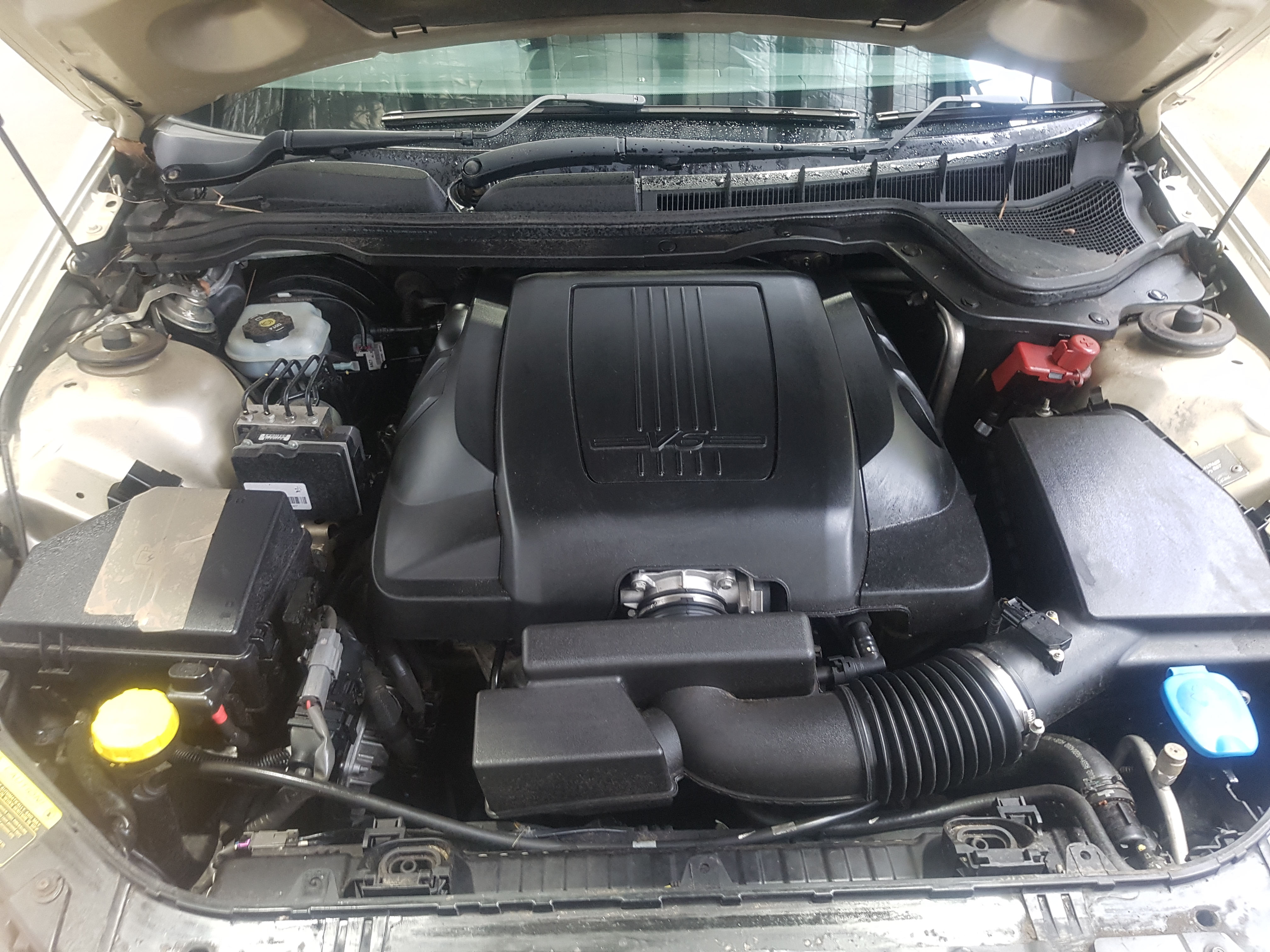 Lindeman's Early Harvest Pinot Grigio (6x 750mL).