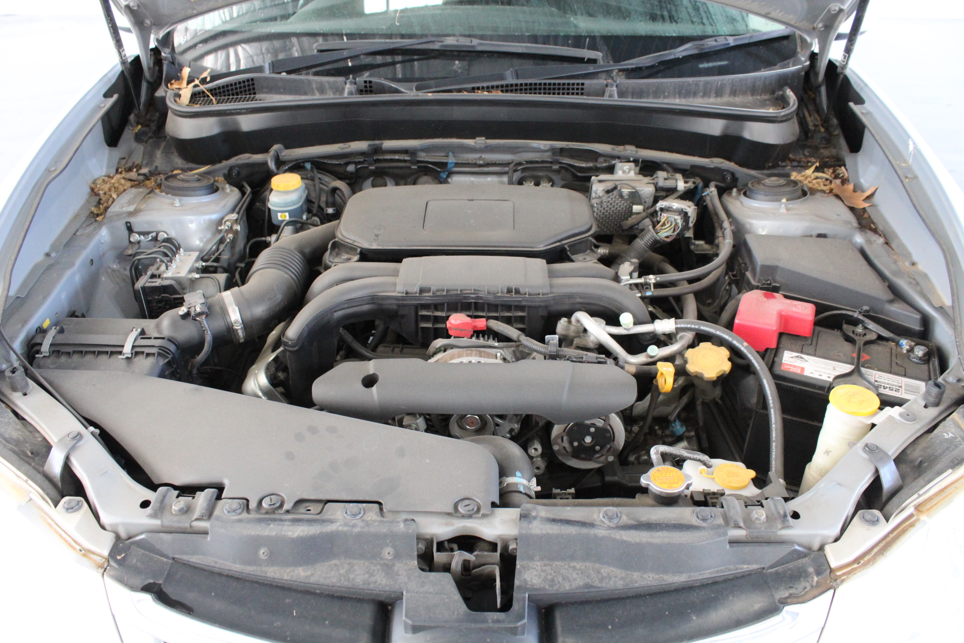 Spee Wah Chardonnay 2024 (12x 750mL) SEA