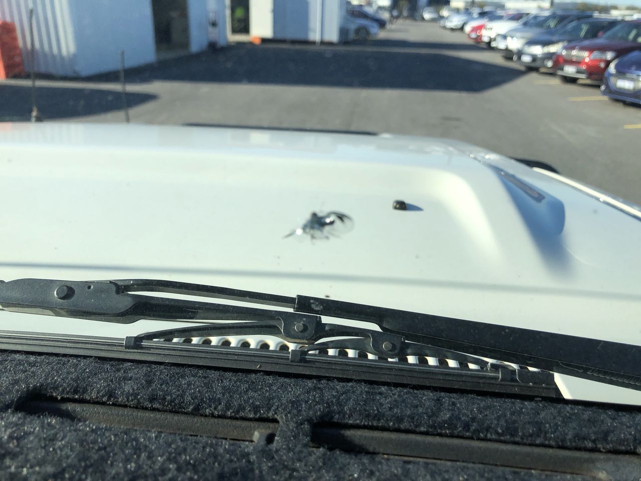 Barramundi Cabernet Sauvignon 2022 (12x 750mL) SEA